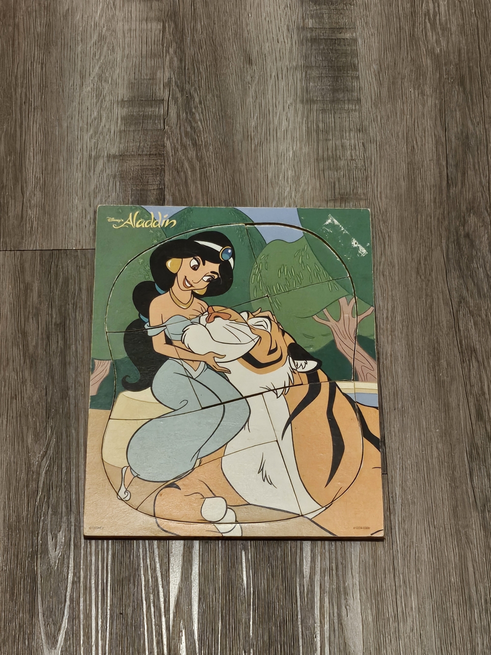Disney Blue & Green Princess Jasmine with Rajah Wooden Puzzle Panel